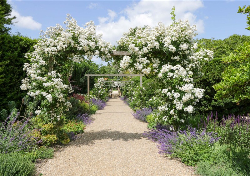The garden in Hazel at Hazel, Elcot near Kintbury