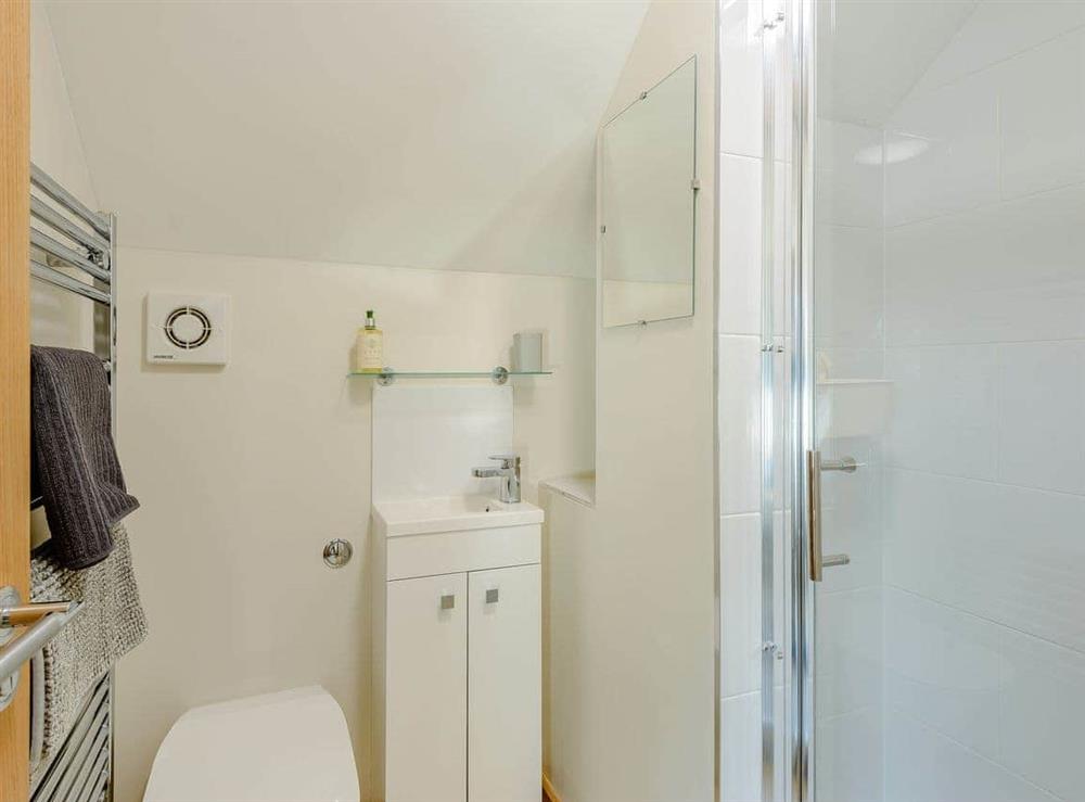En-suite shower room at Buttercup Cottage, 