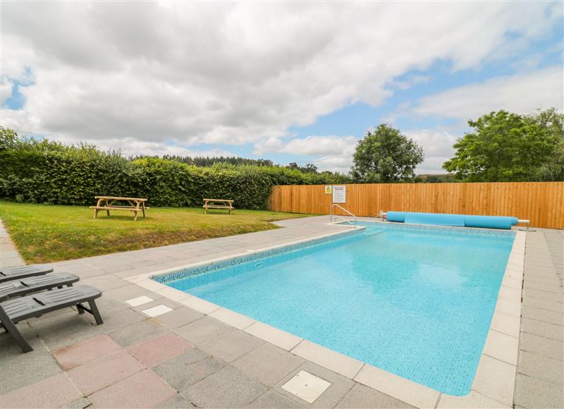 There is a swimming pool at Hazel Lodge, Teigngrace near Newton Abbot