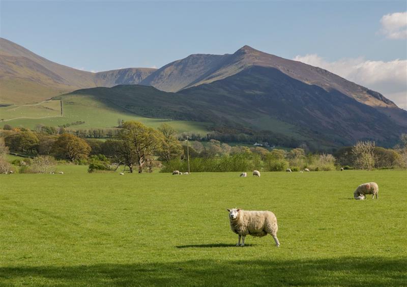 The area around Hazel Nook 21 Ullswater Suite