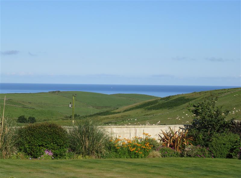 The setting of Hazel's Cottage