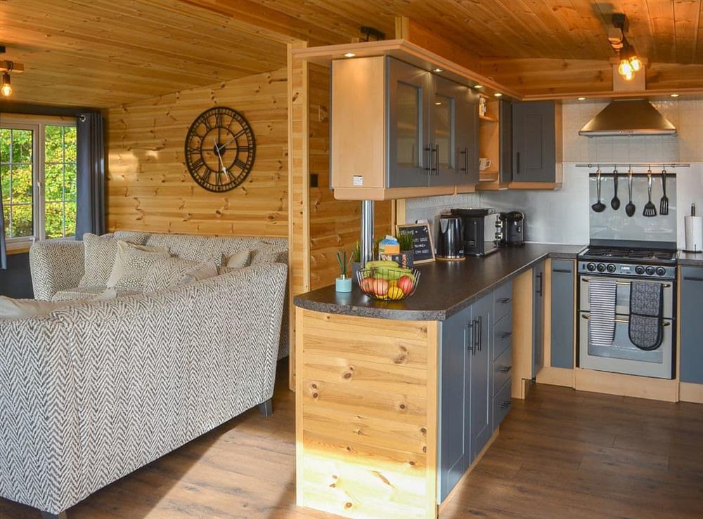 Living area (photo 3) at Hazon Burn Lodges- Hazon Burn Luxury Lodge in Swarland, near Warkworth, Northumberland