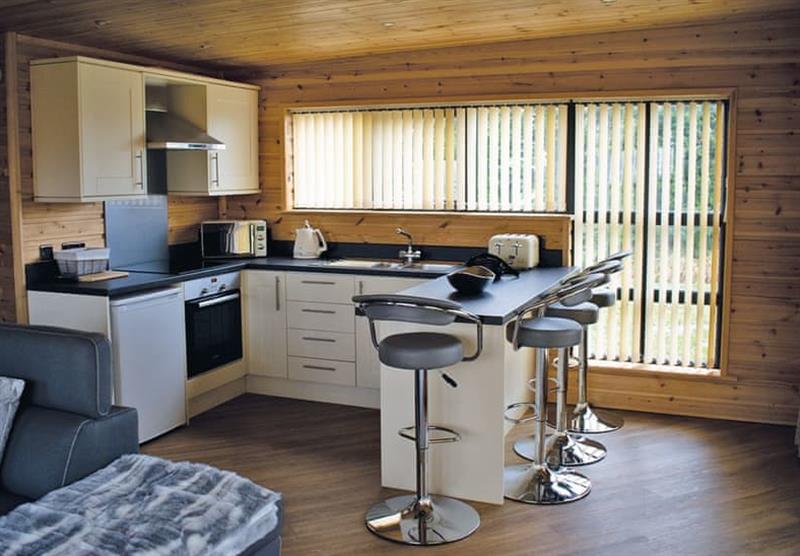 Kitchen area in the Lake View at Head Fen Country Retreat in Ely, Cambridge