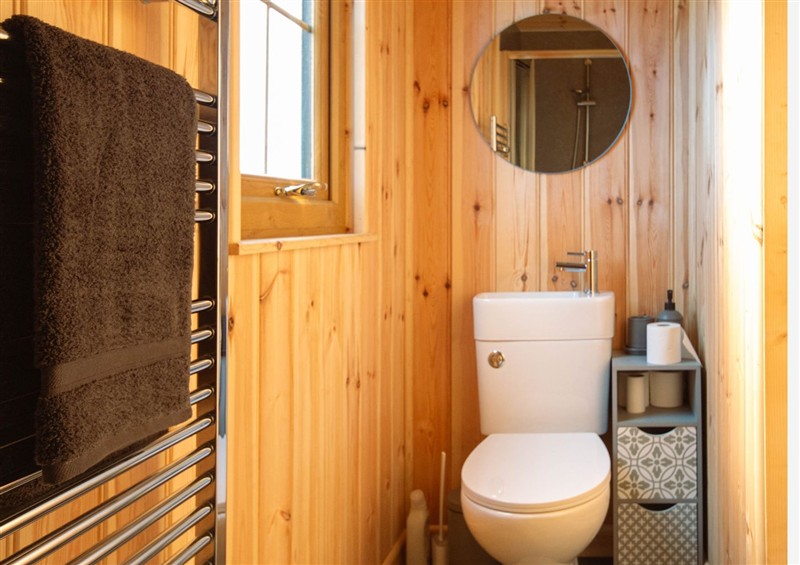 Bathroom at Head For the Hills Glamping - Skylark Shepherds Hut, Llandeilo