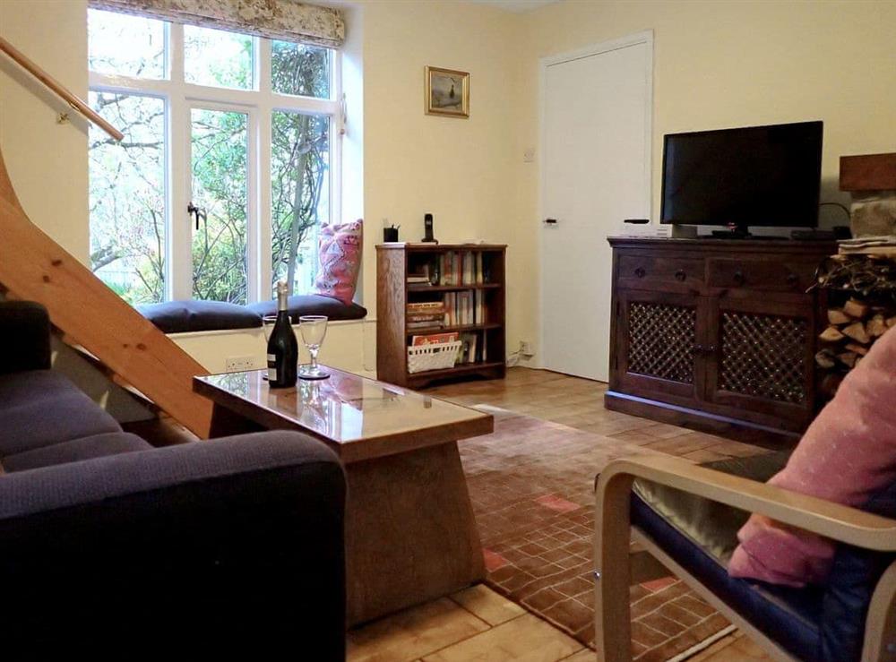 Cosy living room at Heale Cottage in Littleham, near Bideford, Devon