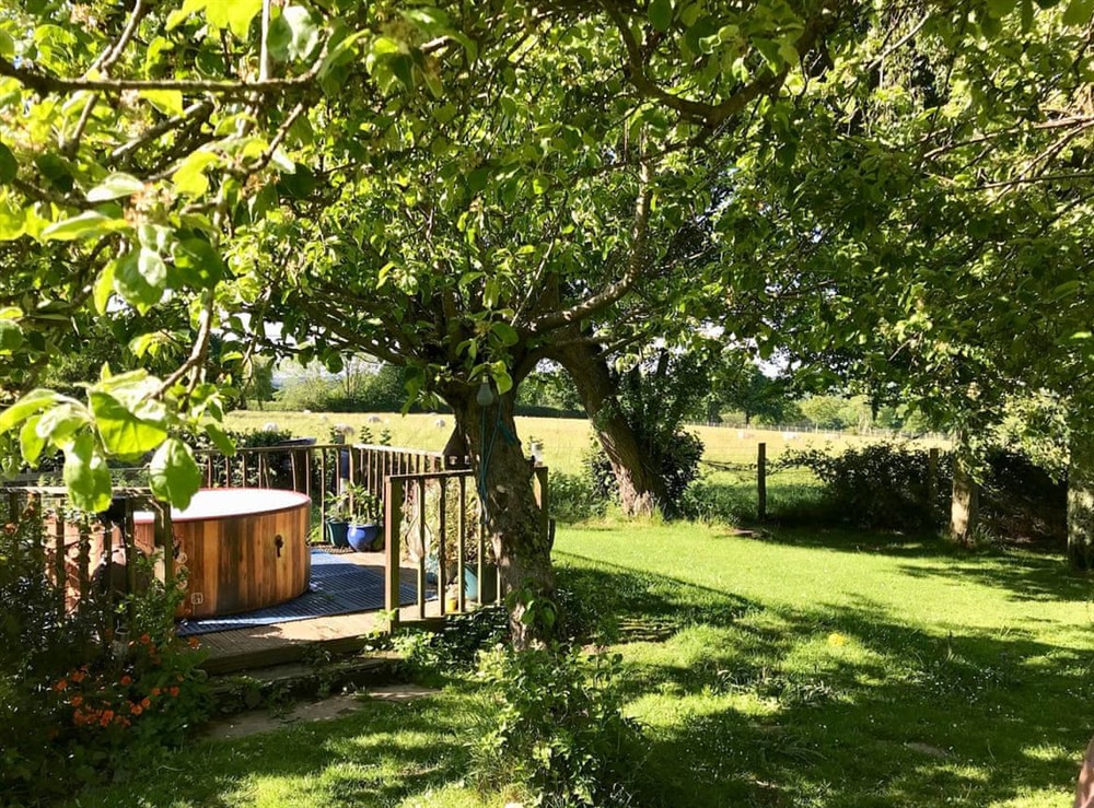 Garden at Heartsease in Hailsham, East Sussex