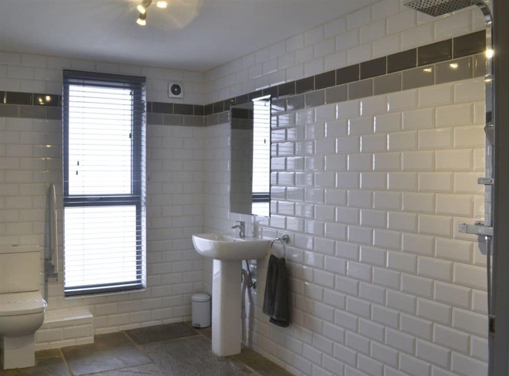 Wet room with shower, toilet and heated towel rail