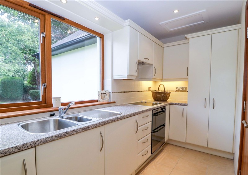 This is the kitchen (photo 2) at Heathcliffe House, Caslteton near Cardiff