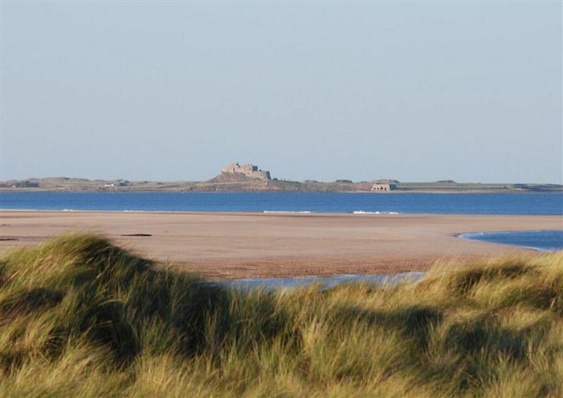 The setting of Heather Cottages - Grey Seal at Heather Cottages - Grey Seal, Bamburgh
