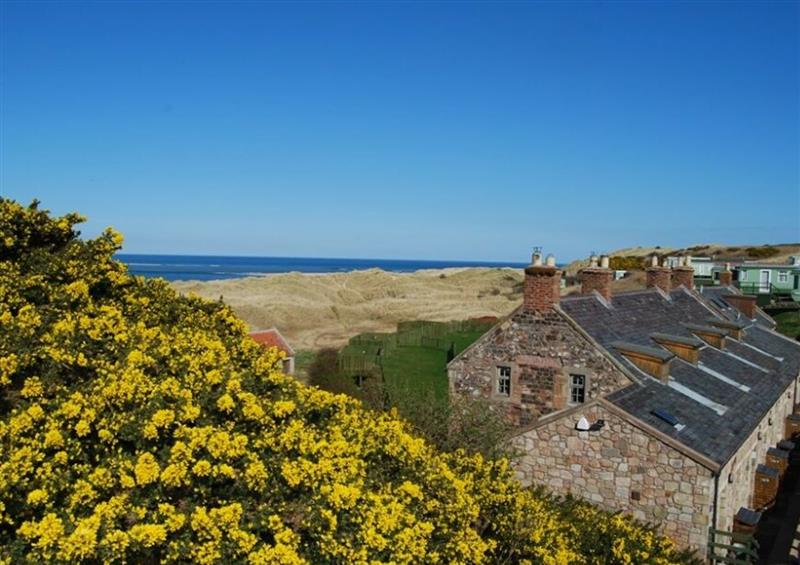 This is the garden at Heather Cottages - Plover, Bamburgh