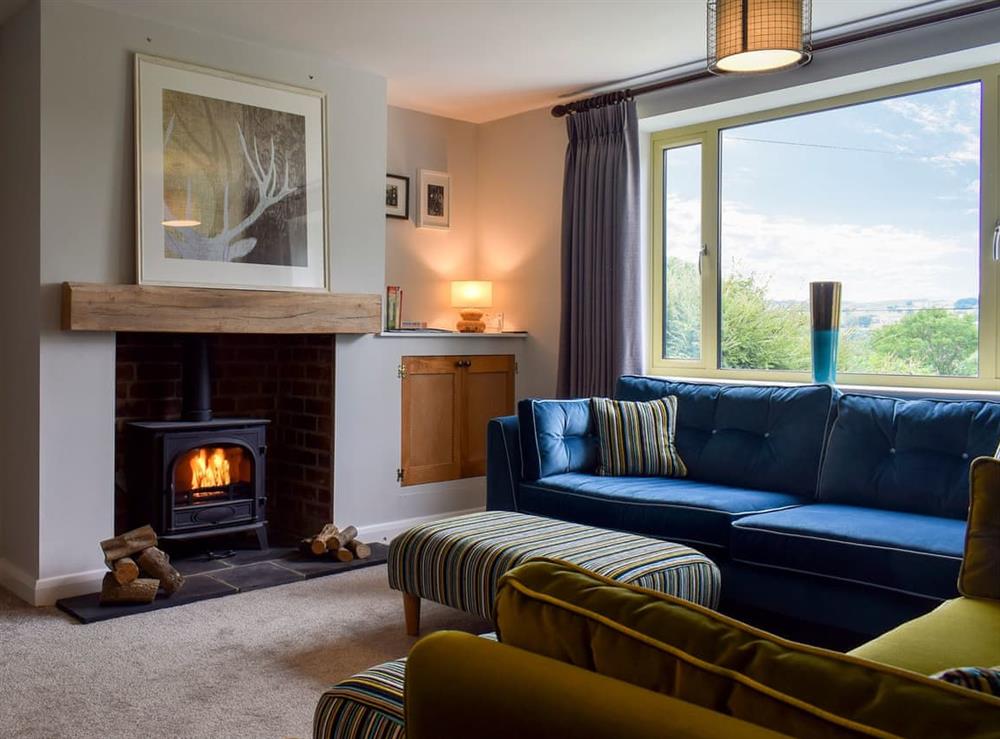 Comfortable living room with wood burner at Heather Lea in Summerbridge, near Harrogate, North Yorkshire