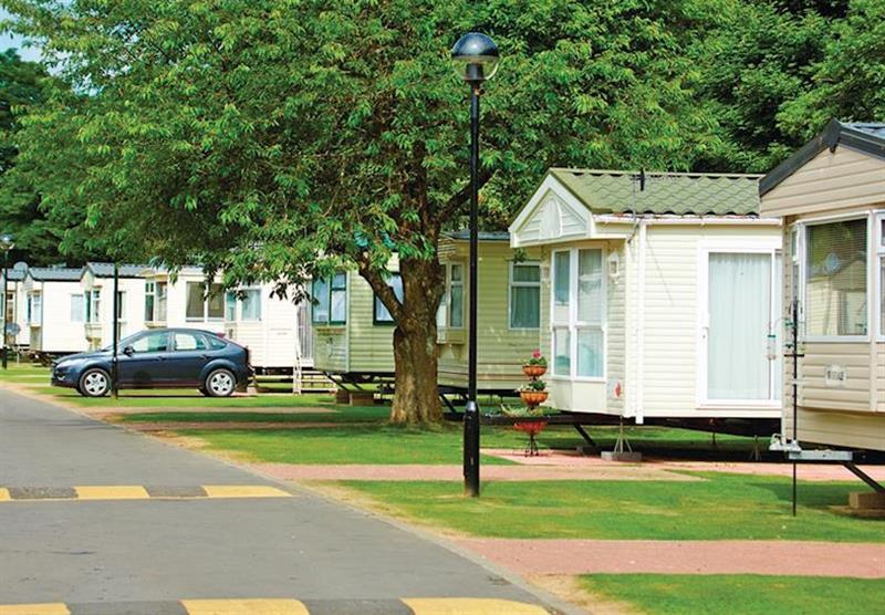The caravans at Heather View Leisure Park in Stanhope, Co Durham