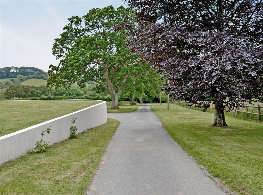 Driveway at Heathfield Down Farmhouse in Modbury, S. Devon., Great Britain