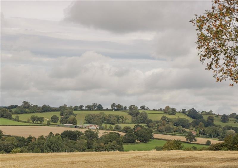 Rural landscape (photo 4) at Heathfield, Milverton