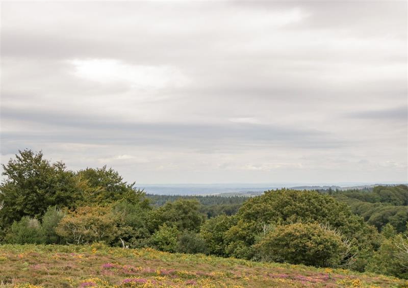 Rural landscape at Heathfield, Milverton