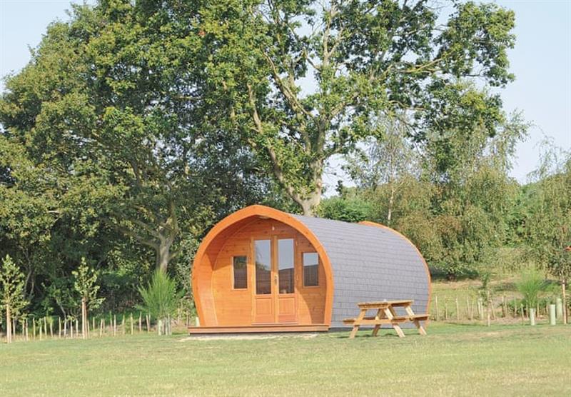 One of the pods, with a picnic table outside! at Heathside Pods in Wenhaston, Halesworth