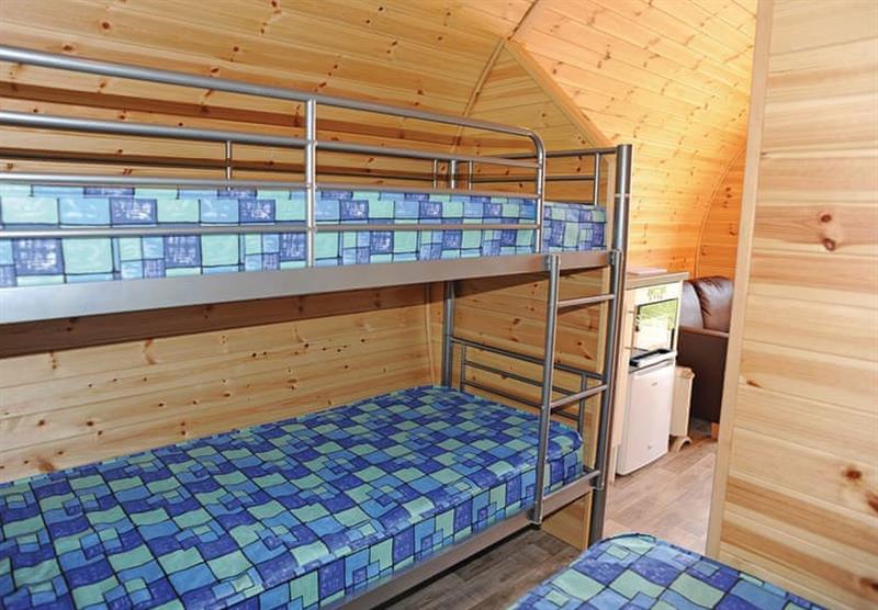 The bunk beds at Heathside Pods in Wenhaston, Halesworth