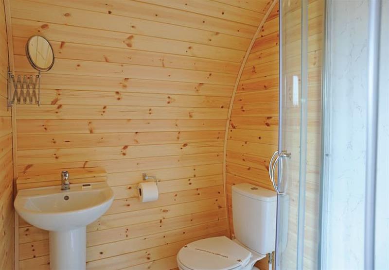 Toilet and shower room at Heathside Pods in Wenhaston, Halesworth