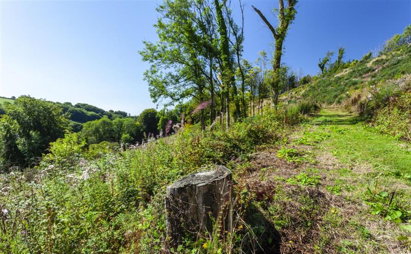 Rural landscape