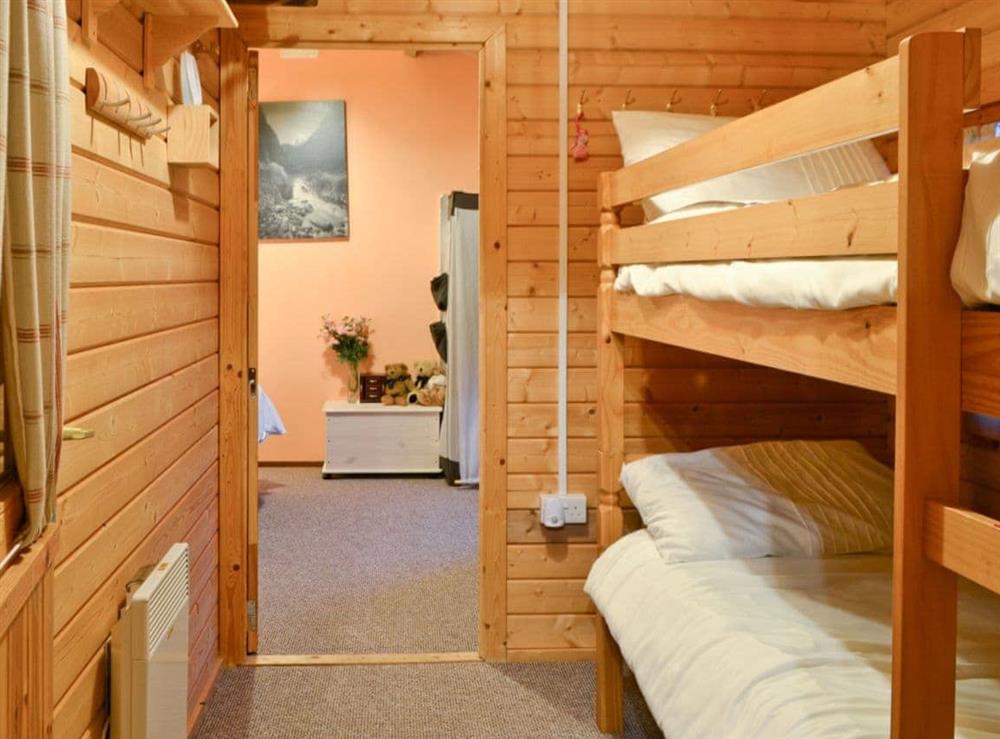 Bunk bedroom at Hedgehog Meadows in Waverton, near Wigton, Cumbria