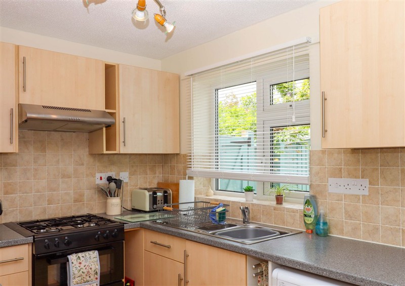 Kitchen at Hedgehogs, Barnstaple