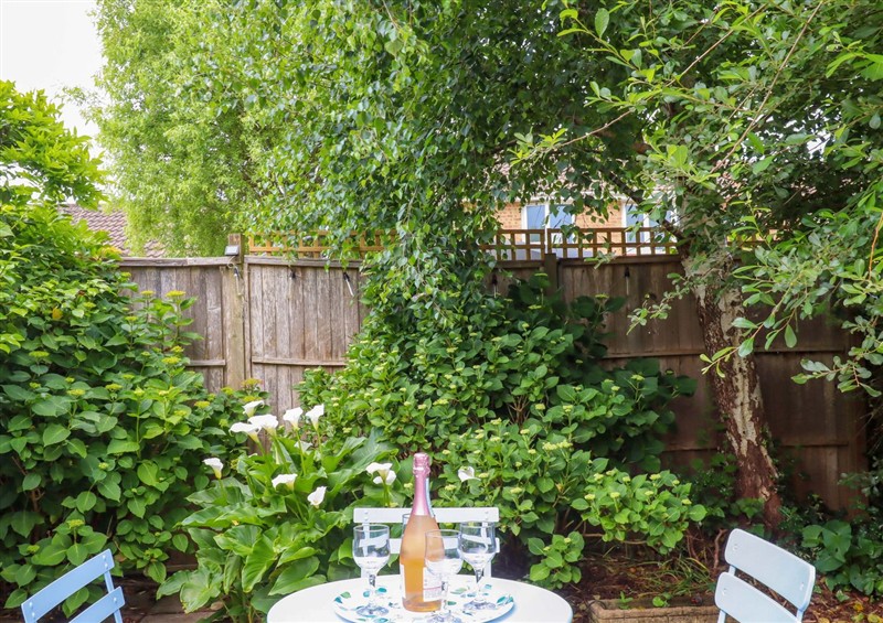 The garden at Hedgehogs, Barnstaple