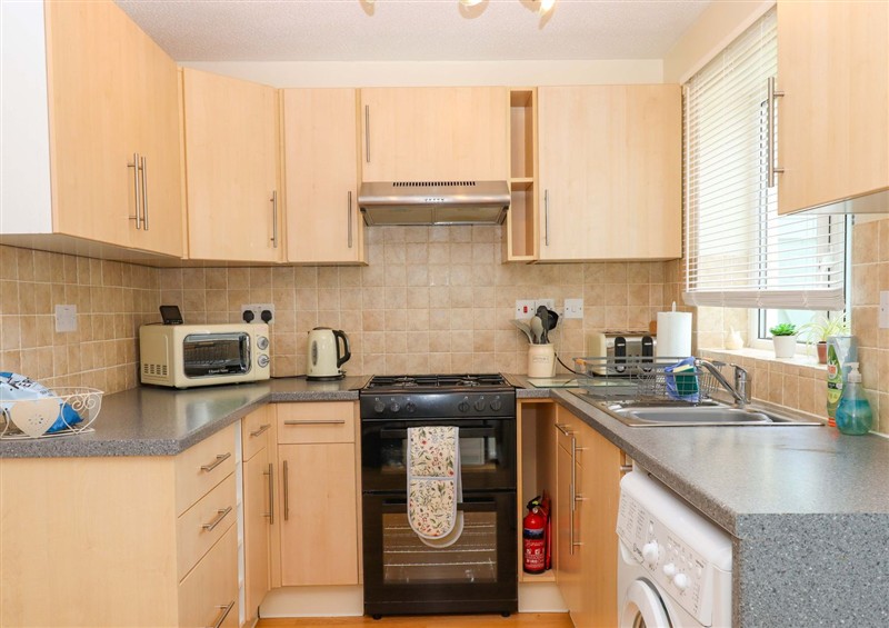 The kitchen at Hedgehogs, Barnstaple