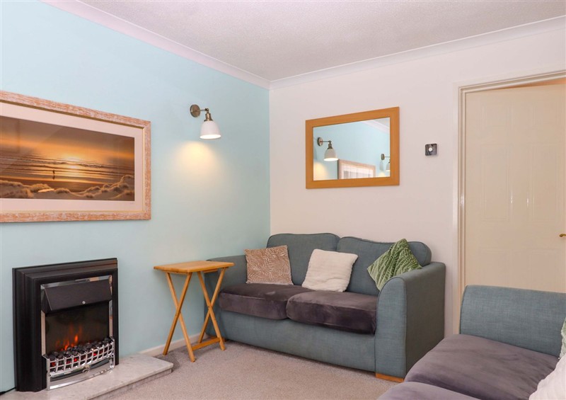 The living area at Hedgehogs, Barnstaple