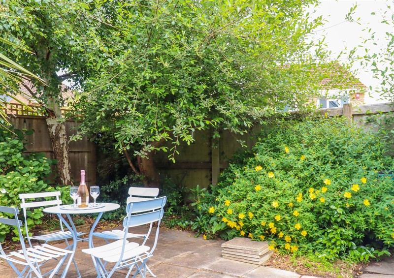 This is the garden at Hedgehogs, Barnstaple