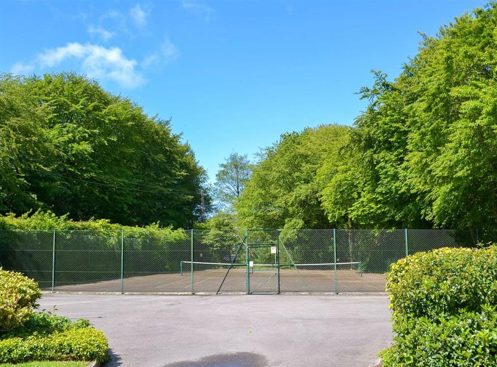 Tennis court at Hedgehogs Retreat in Davidstow, near Camelford, Cornwall
