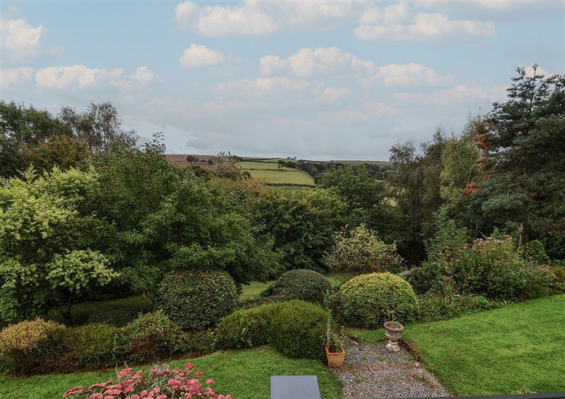 Enjoy the garden at Hedgerose, Goodleigh near Barnstaple
