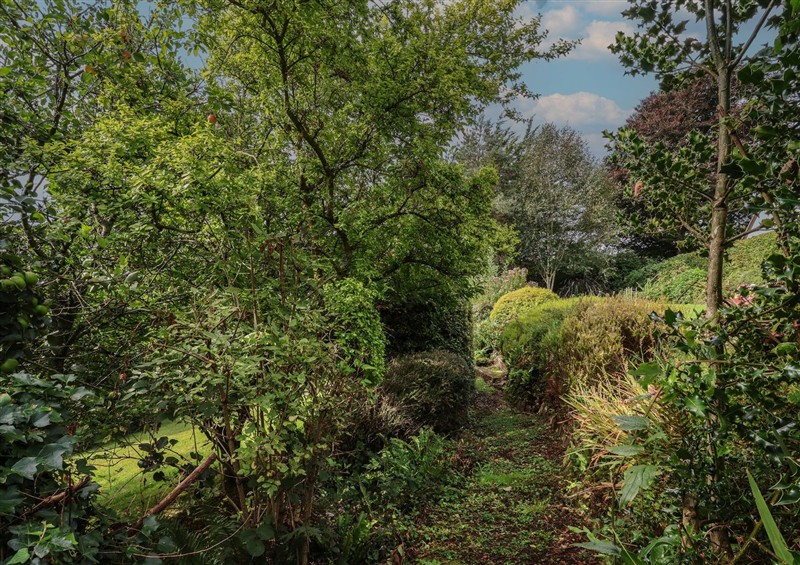 Rural landscape at Hedgerose, Goodleigh near Barnstaple
