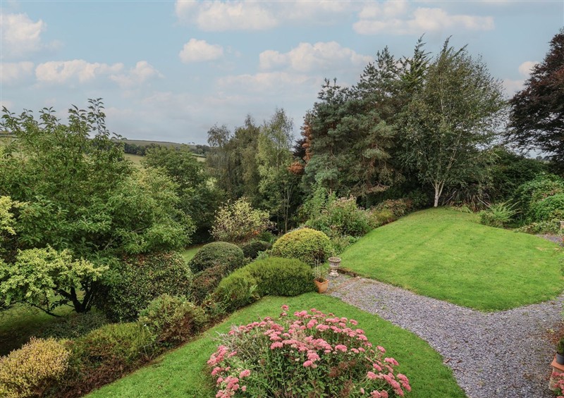 The garden at Hedgerose, Goodleigh near Barnstaple