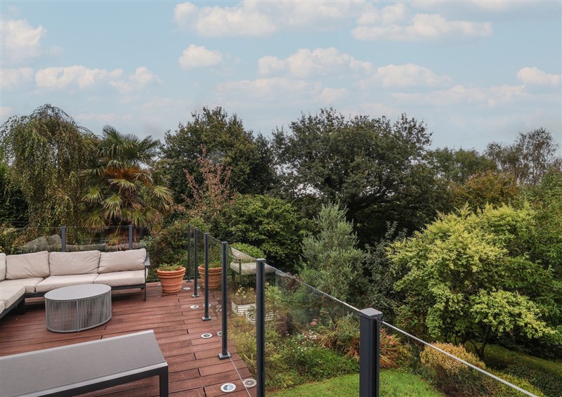 This is the garden at Hedgerose, Goodleigh near Barnstaple