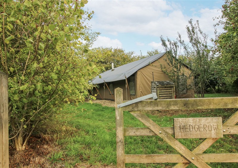 This is the garden at Hedgerow, Bewdley