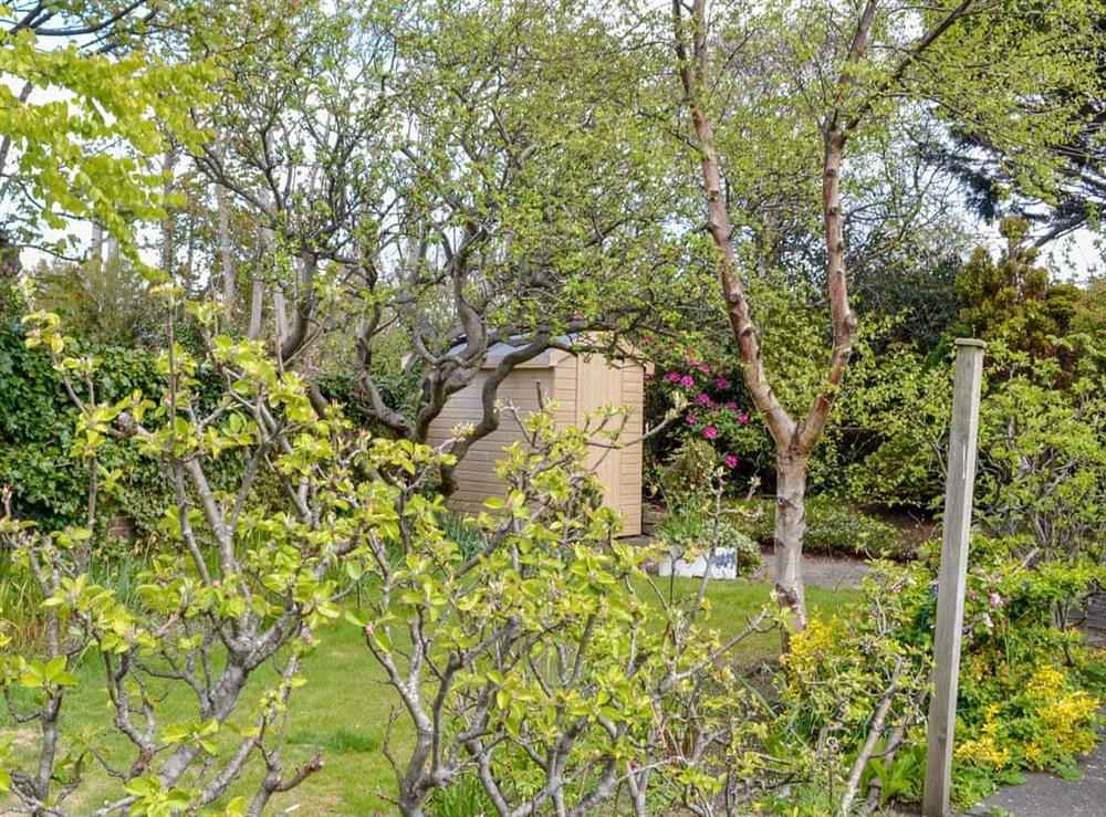 Garden at Helena in Prestwick, Ayrshire