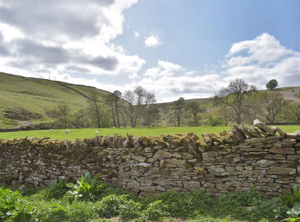 Traditional drystone walls criss-cross the surrounding countryside at Helwith Cottage in Helwith, near Marske, Yorkshire, North Yorkshire
