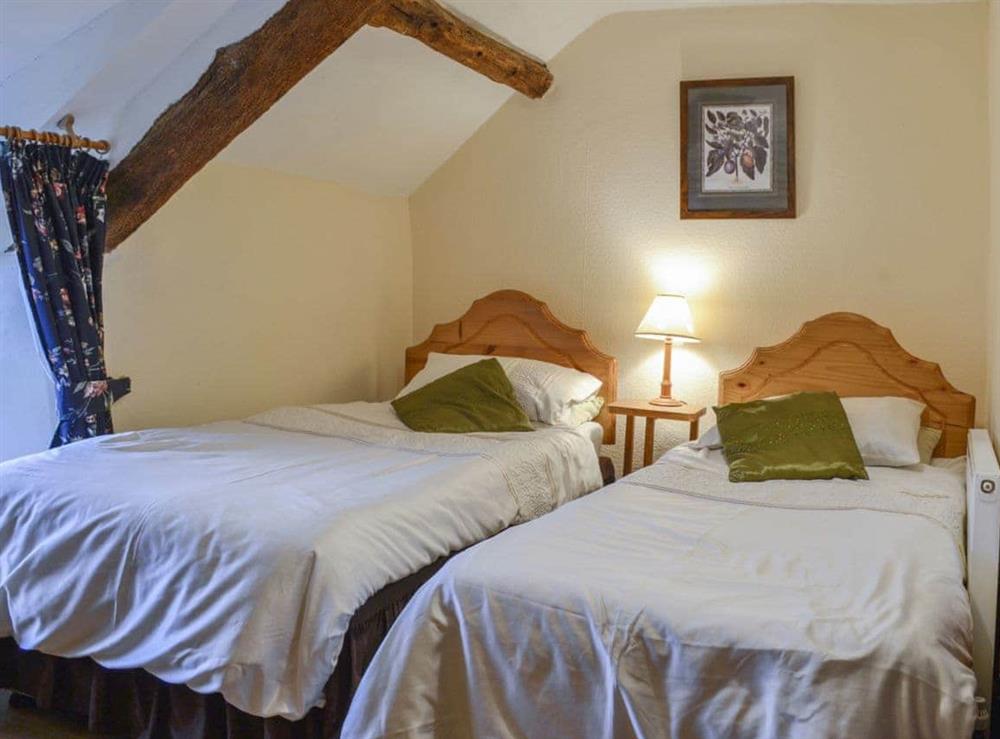 Charming twin bedded room with exposed woodwork at Hen Hafod in Bala, Gwynedd