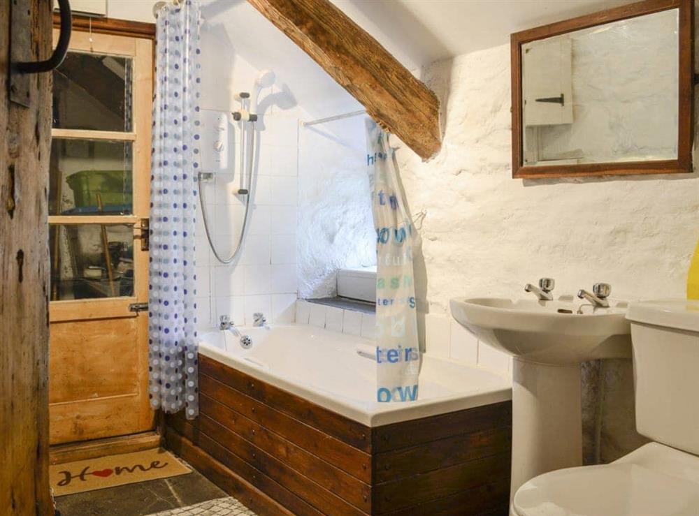 Ground floor bathroom with shower over bath at Hen Hafod in Bala, Gwynedd