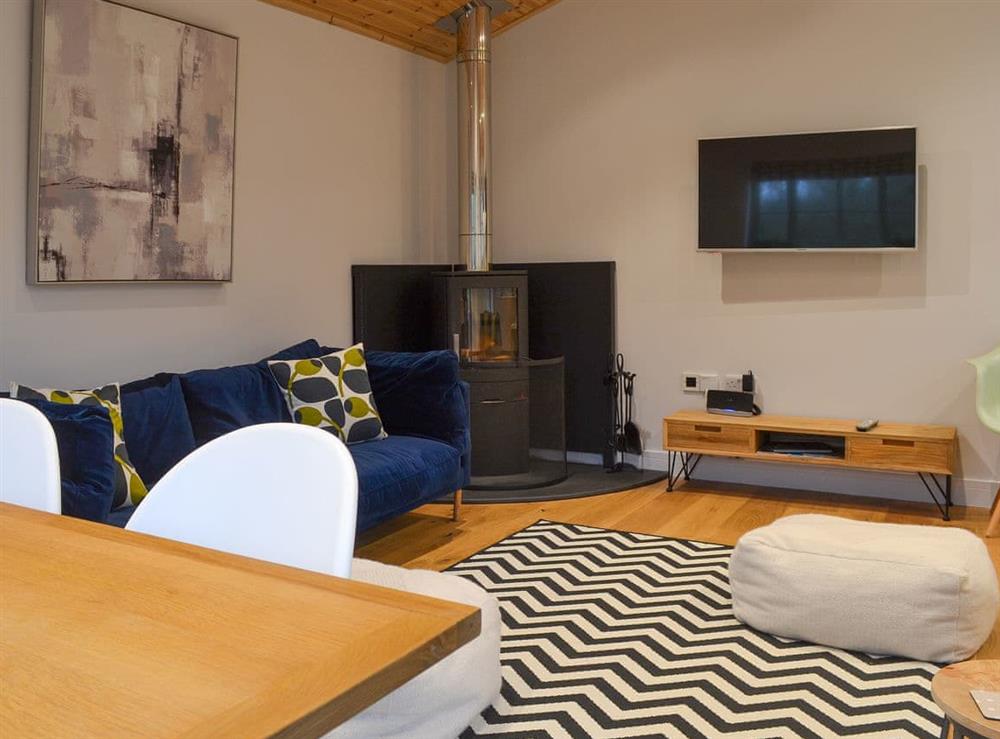 Comfortable lounge area with wood burner at Hen Harrier Lodge in St Columb Major, near Padstow, Cornwall