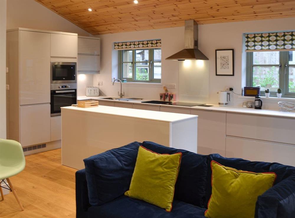 Open plan living space (photo 2) at Hen Harrier Lodge in St Columb Major, near Padstow, Cornwall