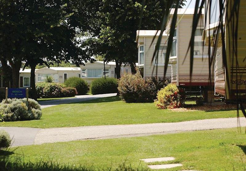 The park setting at Hendra Holiday Park in , Newquay