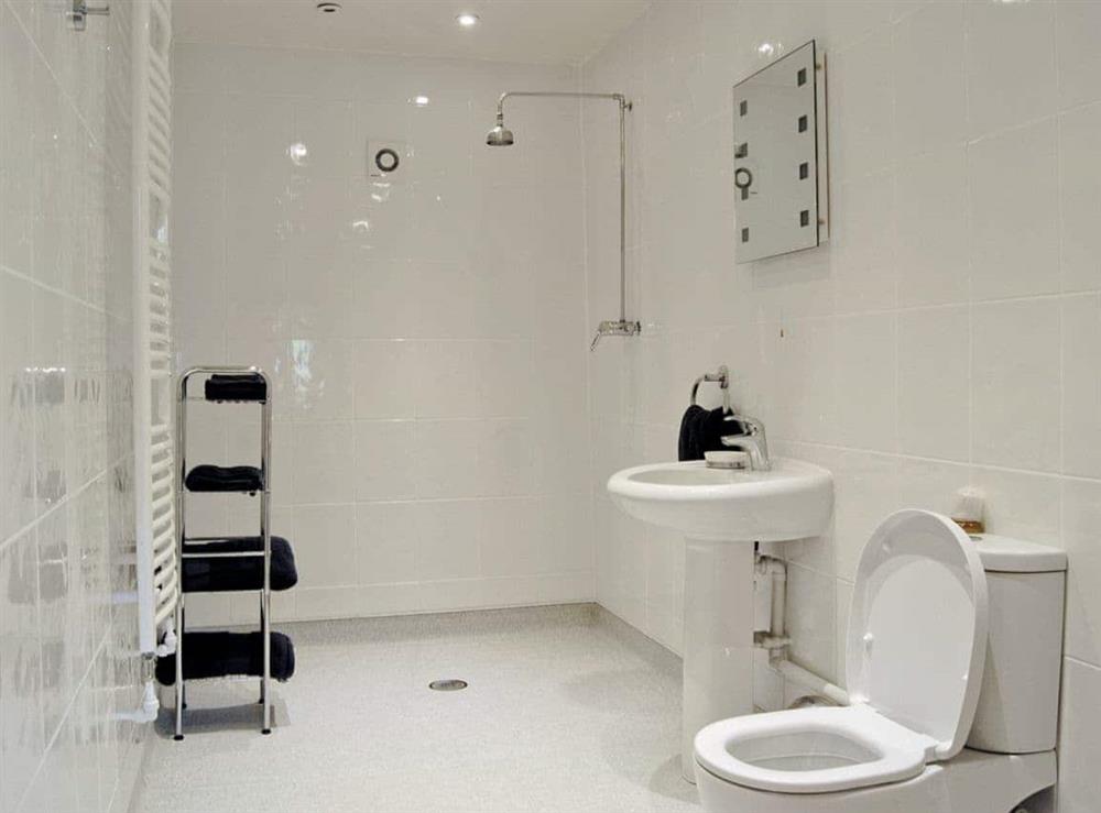 Shower room at Hendre Barn Mawr in Abergynolwyn, Gwynedd