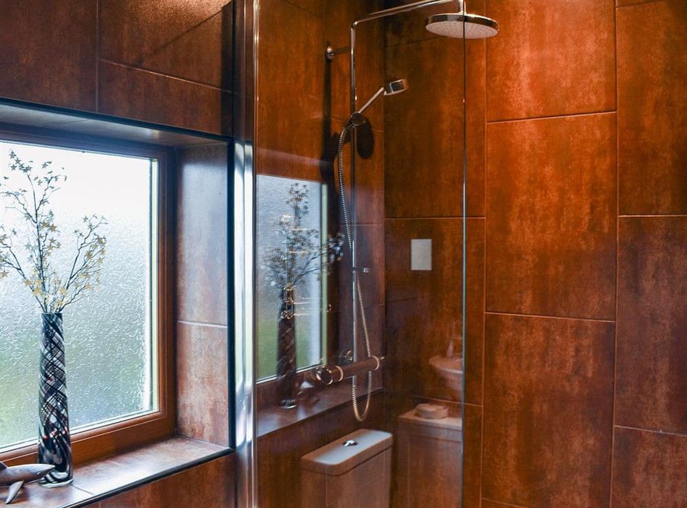 Shower room (photo 2) at Hendre in Blaenau Ffestiniog, Gwynedd