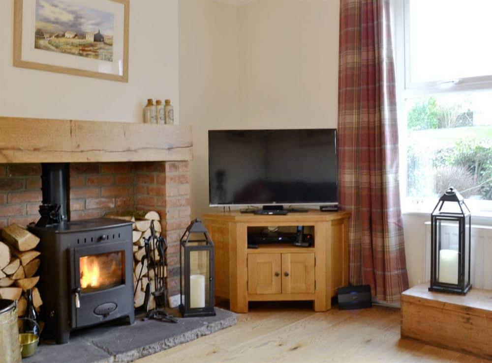 Warm and cosy wood burner in the living room at Hendricks Cottage in West Witton, near Leyburn, North Yorkshire