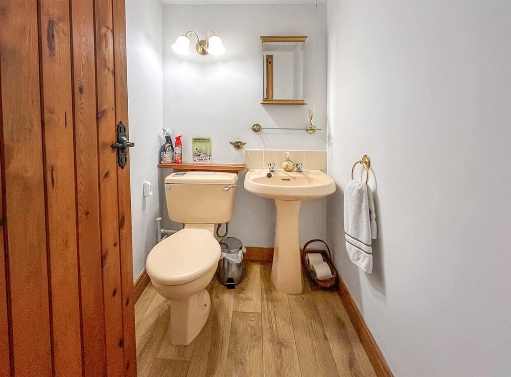 Bathroom at Henfaes Bach in Nannerch, near Clwydian Range, Wales