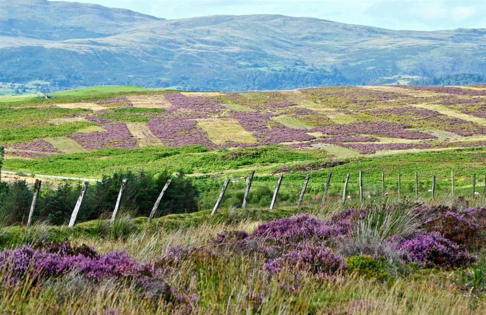 Rural landscape at Henfaes Isaf in Cynwyd, North Wales Borders, Denbighshire