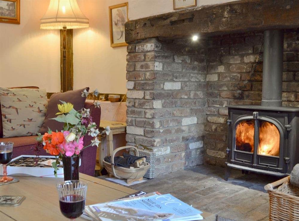 Delightful living room with cosy wood burner at Henley Bridge Holiday Cottage in Ashburnham, near Battle, East Sussex