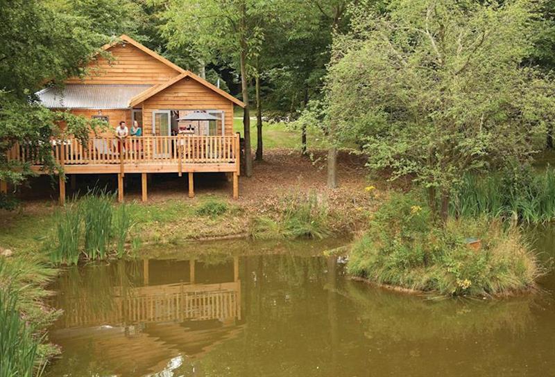 Lovetts Lodge at Henlle Hall Woodland Lodges in , Shropshire