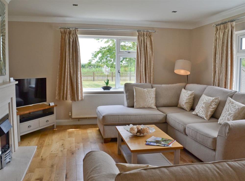 Cosy living room at Henrys Bungalow in Anderby, near Skegness, Lincolnshire